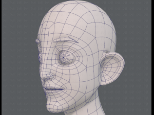 base mesh man character v11 3D मॉडल