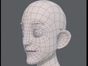 base mesh man character v11 3D Model