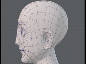 base mesh man character v11 3D मॉडल