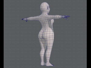 base mesh woman 12 3D 模型
