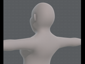 base mesh woman 12 3D 模型