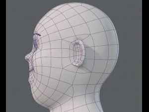 base mesh woman 12 3D Model