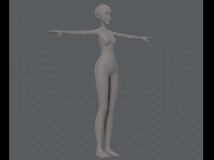 base mesh woman 13 3D Модель