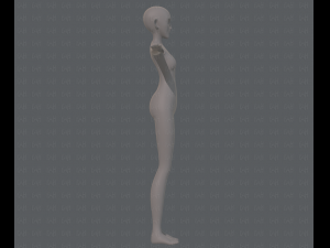 base mesh woman 13 3D Модель