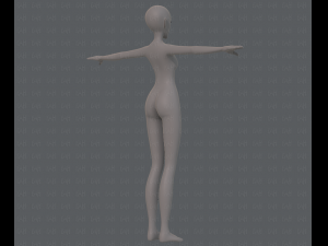 base mesh woman 13 3D Модель
