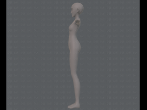 base mesh woman 13 3D Модель