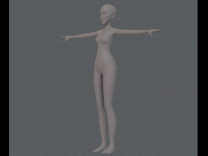 base mesh woman 13 3D Модель