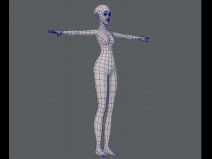 base mesh woman 13 3D Модель