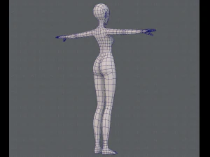 base mesh woman 13 3D Model