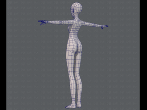 base mesh woman 13 3D Модель