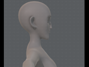 base mesh woman 13 3D Модель