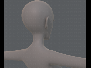 base mesh woman 13 3D Модель