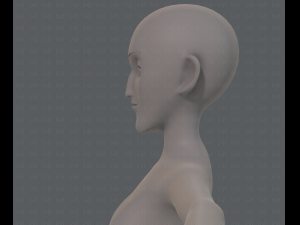 base mesh woman 13 3D Модель