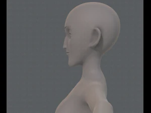 base mesh woman 13 3D Model