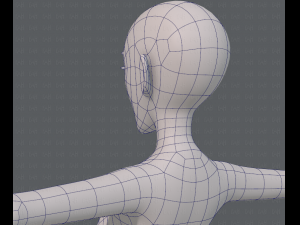 base mesh woman 13 3D Модель