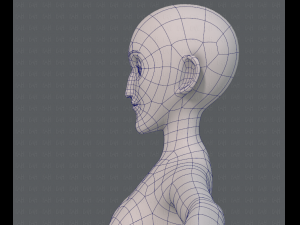 base mesh woman 13 3D Модель