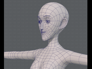 base mesh woman 13 3D Модель