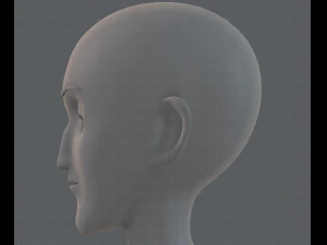 base mesh woman 13 3D Model