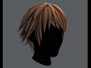 3d hair style for man typeb v02 3Dモデル