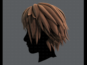 3d hair style for man typeb v02 3Dモデル