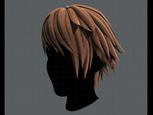 3d hair style for man typeb v02 3D Model