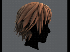 3d hair style for man typeb v02 3Dモデル