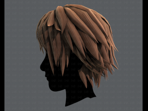 3d hair style for man typeb v02 3Dモデル