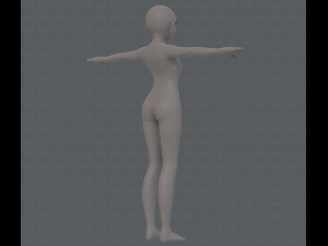 base mesh girl characterv06 3D-Modell