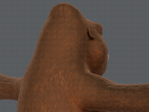 king kong v01 Model 3D