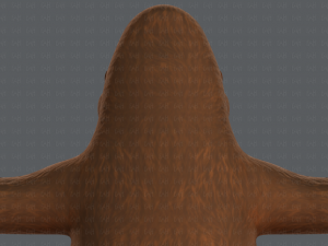 king kong v01 Model 3D