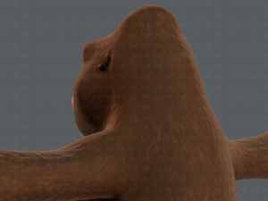 king kong v01 Model 3D