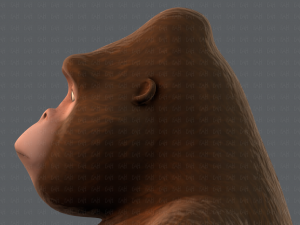 king kong v01 Model 3D