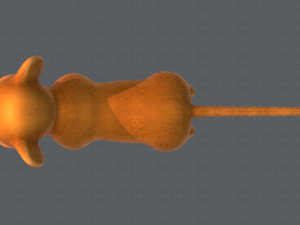 baby lion v01 3D Model