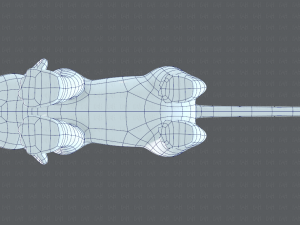 baby lion v01 3D Model