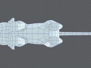 baby lion v01 3D Model