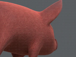 pig cartoon v02 3D Model
