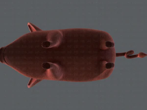 pig cartoon v02 3D Model