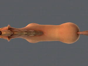 horse v01 3D Model