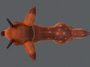 deer v01 3D Model