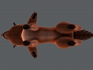 deer v01 Modello 3D