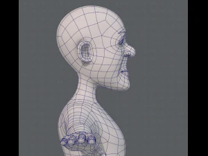 base mesh old man character v05 3D Model