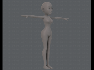 base mesh woman 14 3D मॉडल