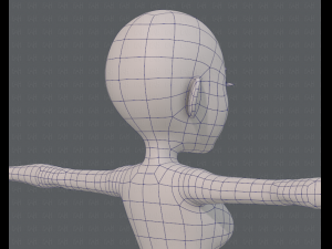 base mesh woman 14 3D मॉडल