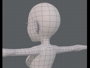base mesh woman 14 3D मॉडल