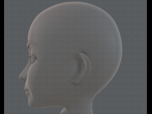 base mesh woman 14 3D मॉडल