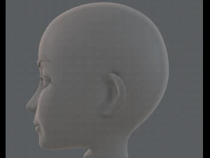 base mesh woman 14 3D Model