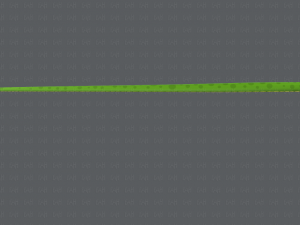 snake v01 Modello 3D