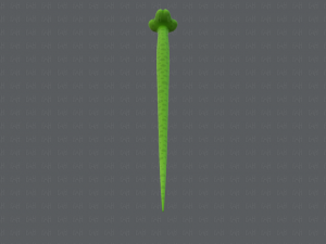 snake v01 Modello 3D