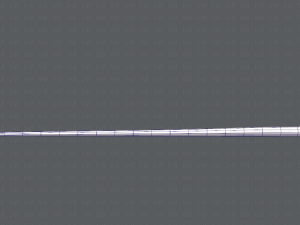 snake v01 Modello 3D