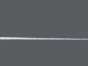 snake v01 Modello 3D